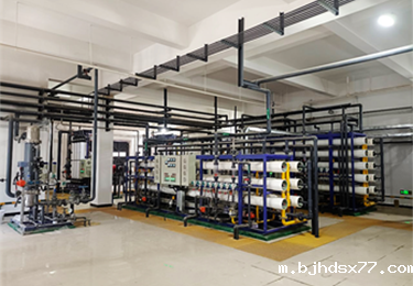 电力行业反渗透+EDI处理工艺（全膜法处理）