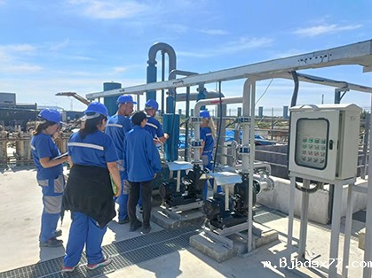 玲珑塞尔维亚井水处理项目