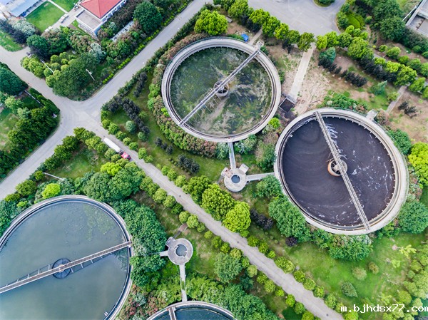 W020190711712092365006 W020190711712092365006