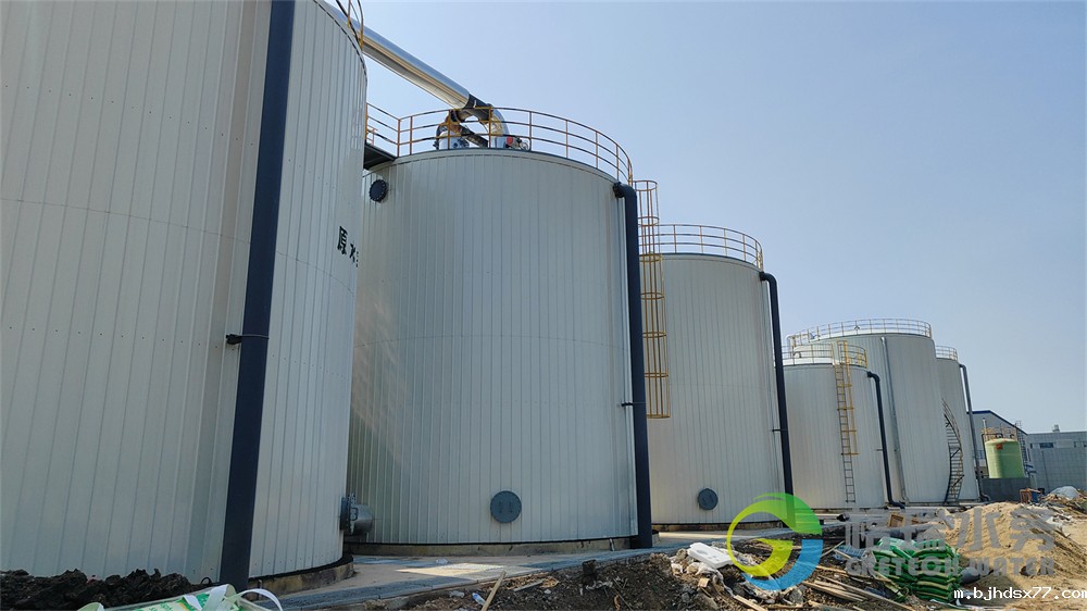 IMG20240630092347.jpg IMG20240630092347.jpg