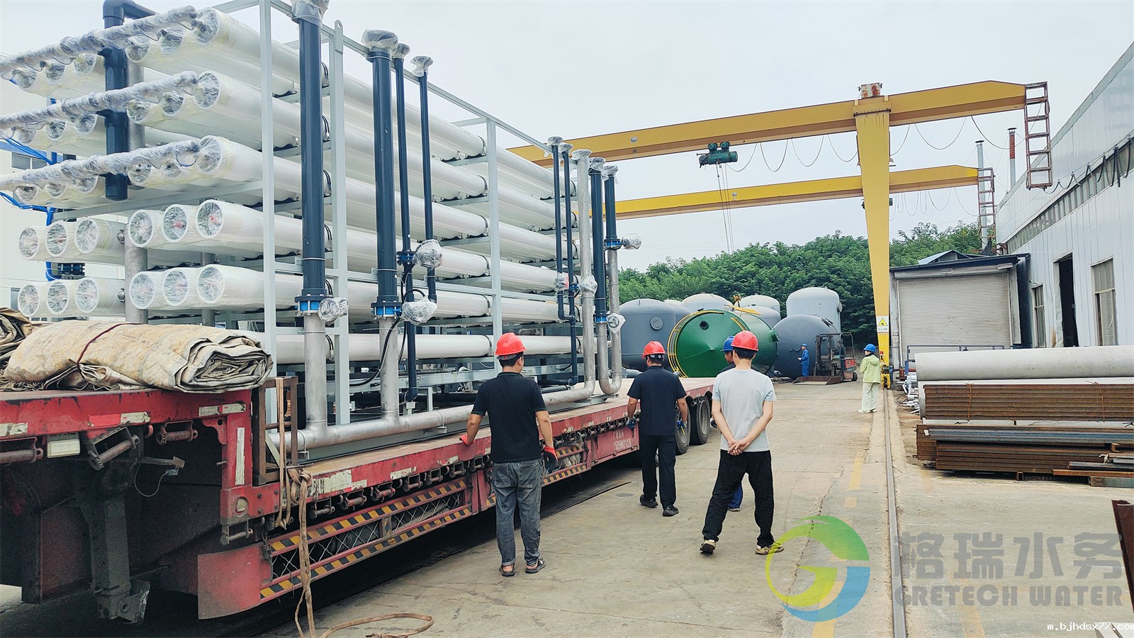 IMG20240911112908.jpg IMG20240911112908.jpg