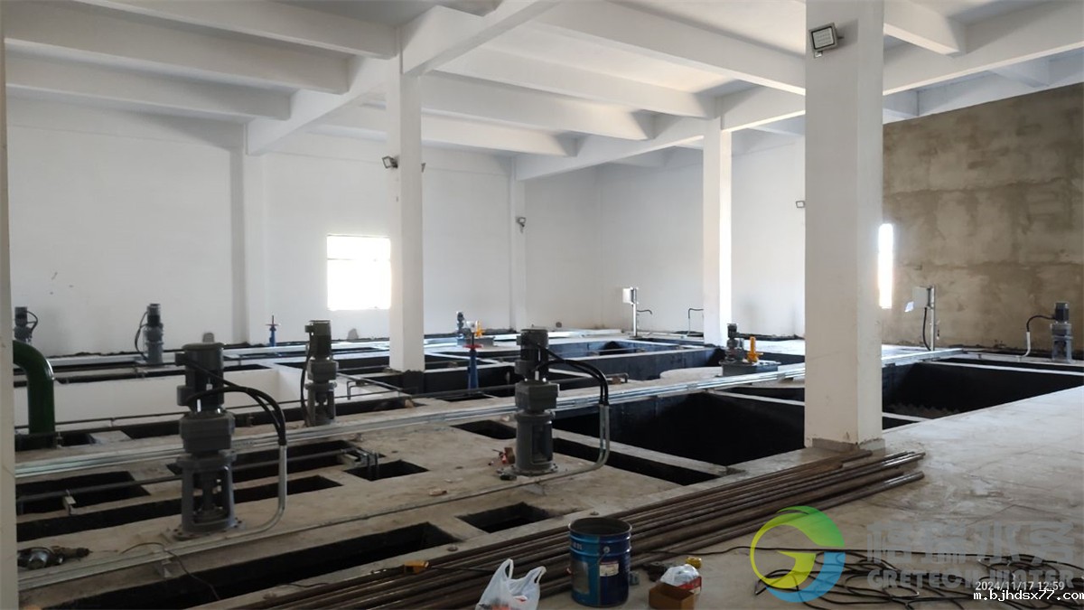 IMG_20241117_125901731