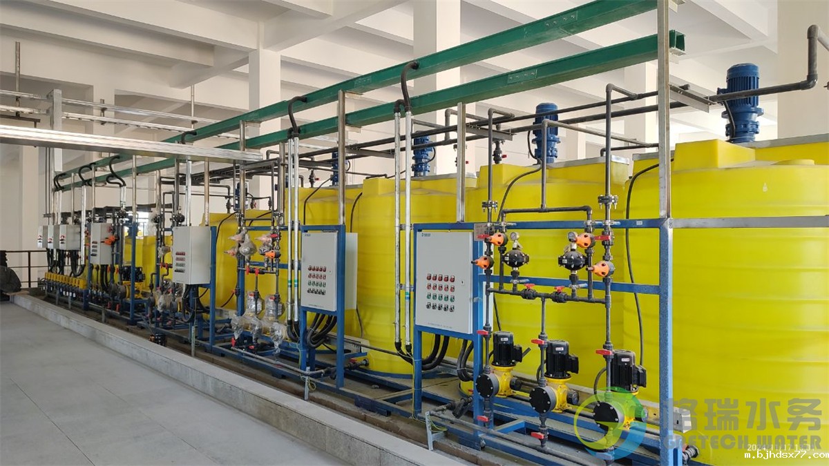 IMG_20241117_130122660